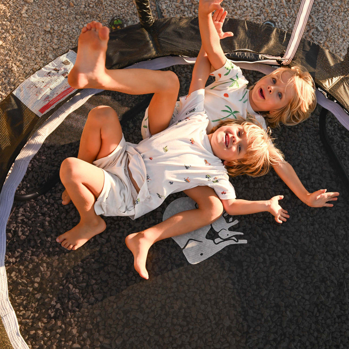 Kindertrampoline 183 cm met Veiligheidsnet en Ladder - Zwart
