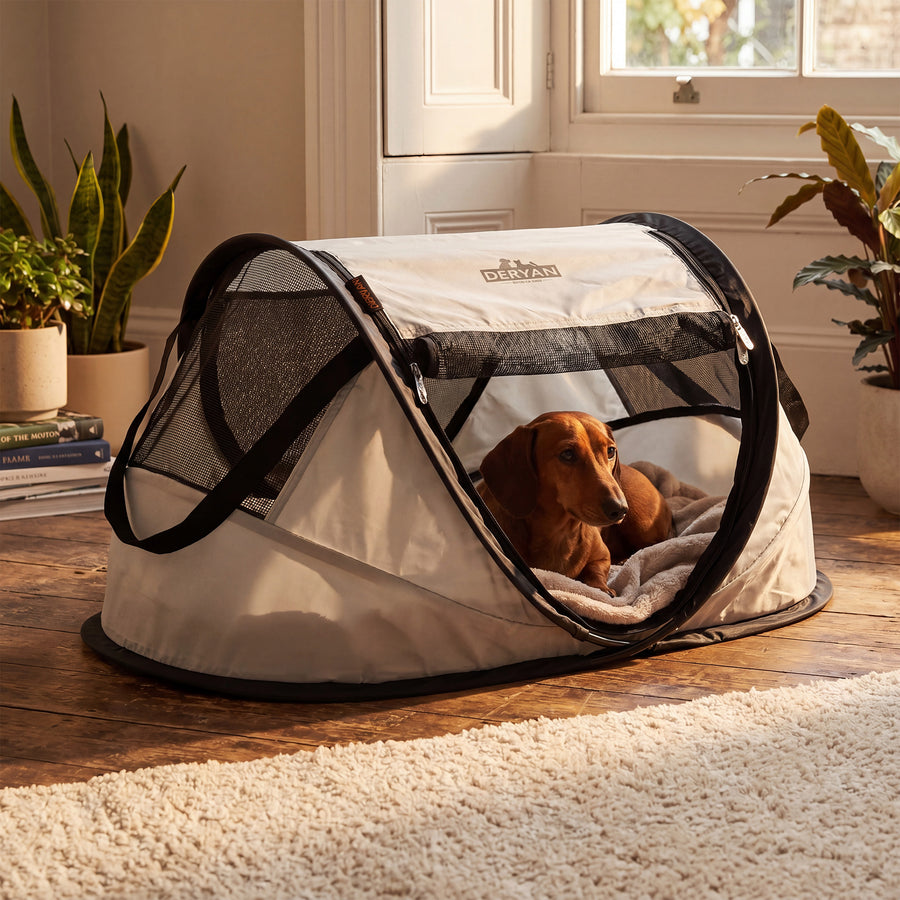 Dogs & Cats Pop-Up Hondenren met Extra Dik Gaas - Small